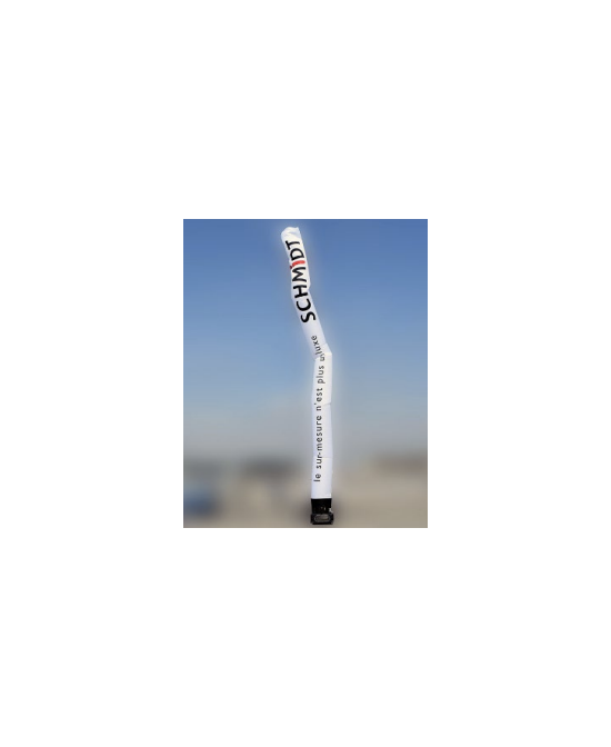 Custom tube air dancer, printed | Vision-One