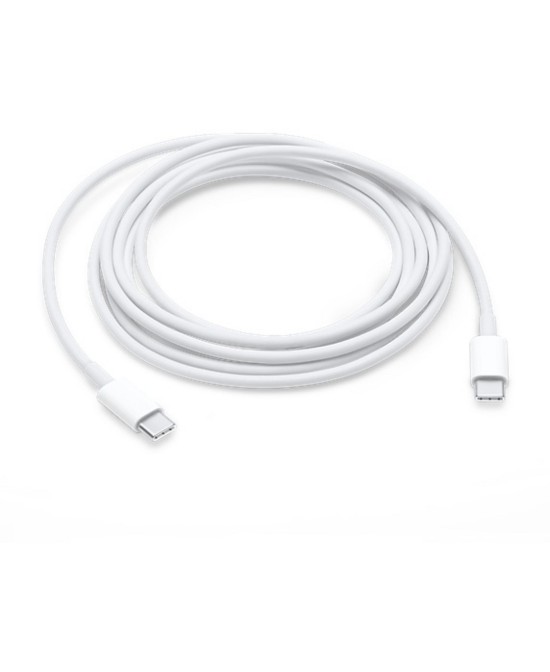 Câble USB-C 2 m Apple blanc | Vision-One